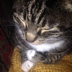 Meet your Posher, Stefani